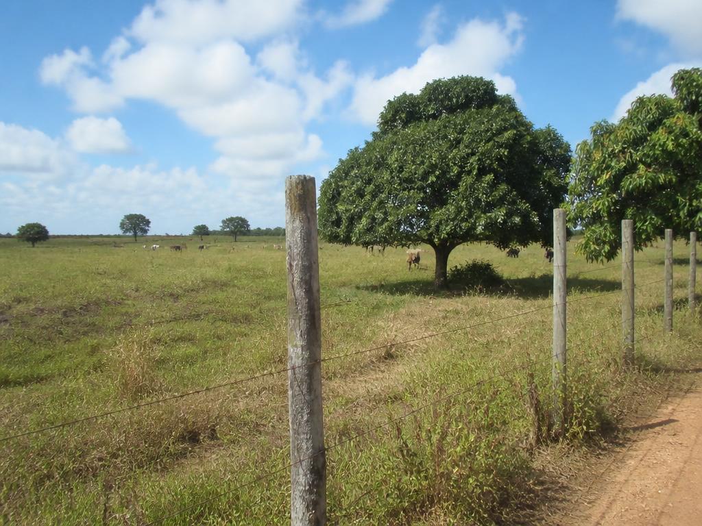 Propriedade rural com cercas e estrada de acesso